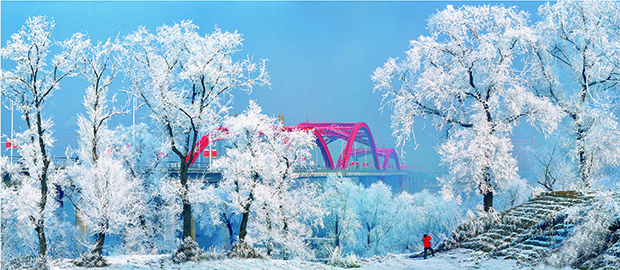 雾凇.jpg 雾凇.jpg