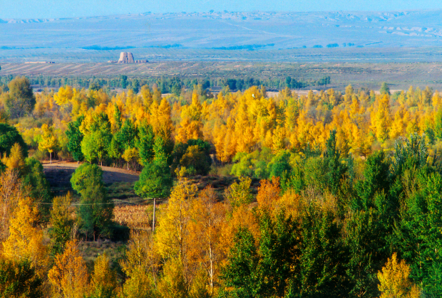 Honeyview_image003.jpg Honeyview_image003.jpg