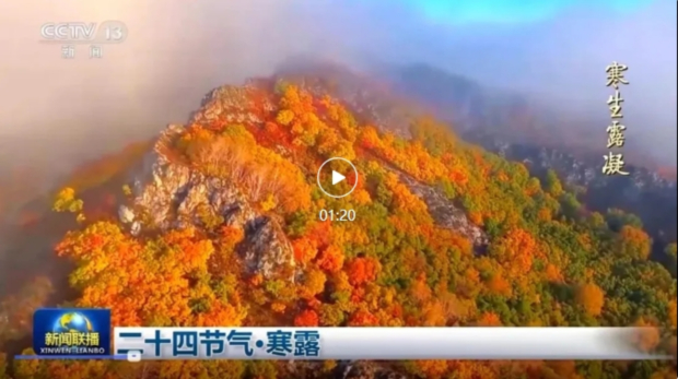 ΢Žͼ_20241010133549 (2).jpg