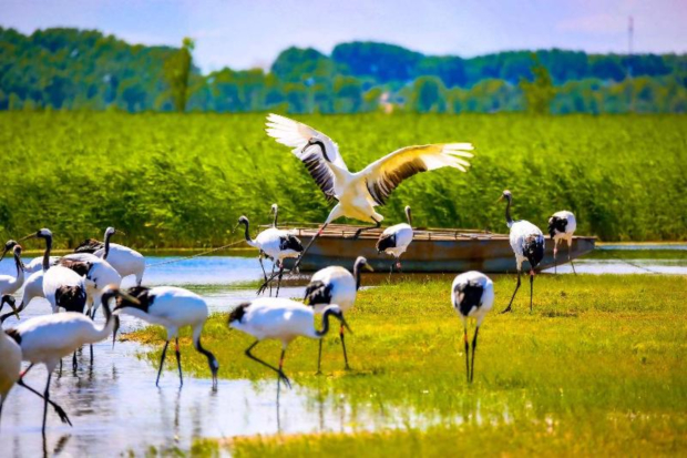 image015 (2).jpg image015 (2).jpg