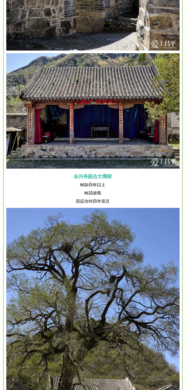 ��ƽ4���������������� �� ����ǧ��ż����ʱ������_0007_ͼ�� 8.jpg